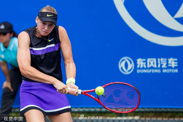 将继续采用 将继续采用