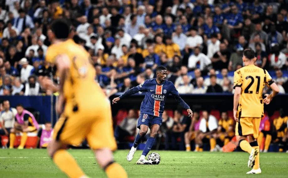 我们不仅是 我们不仅是