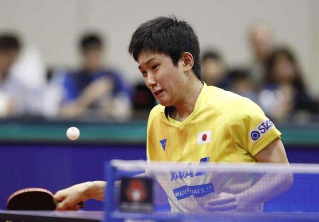 适应才是生 适应才是生