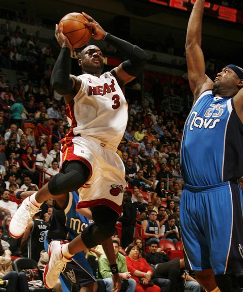 动爱好者 动爱好者